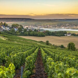 Mercure Reims Parc des Expositions v.a. p.p. €71.00 (Incl. 1 x champagne)