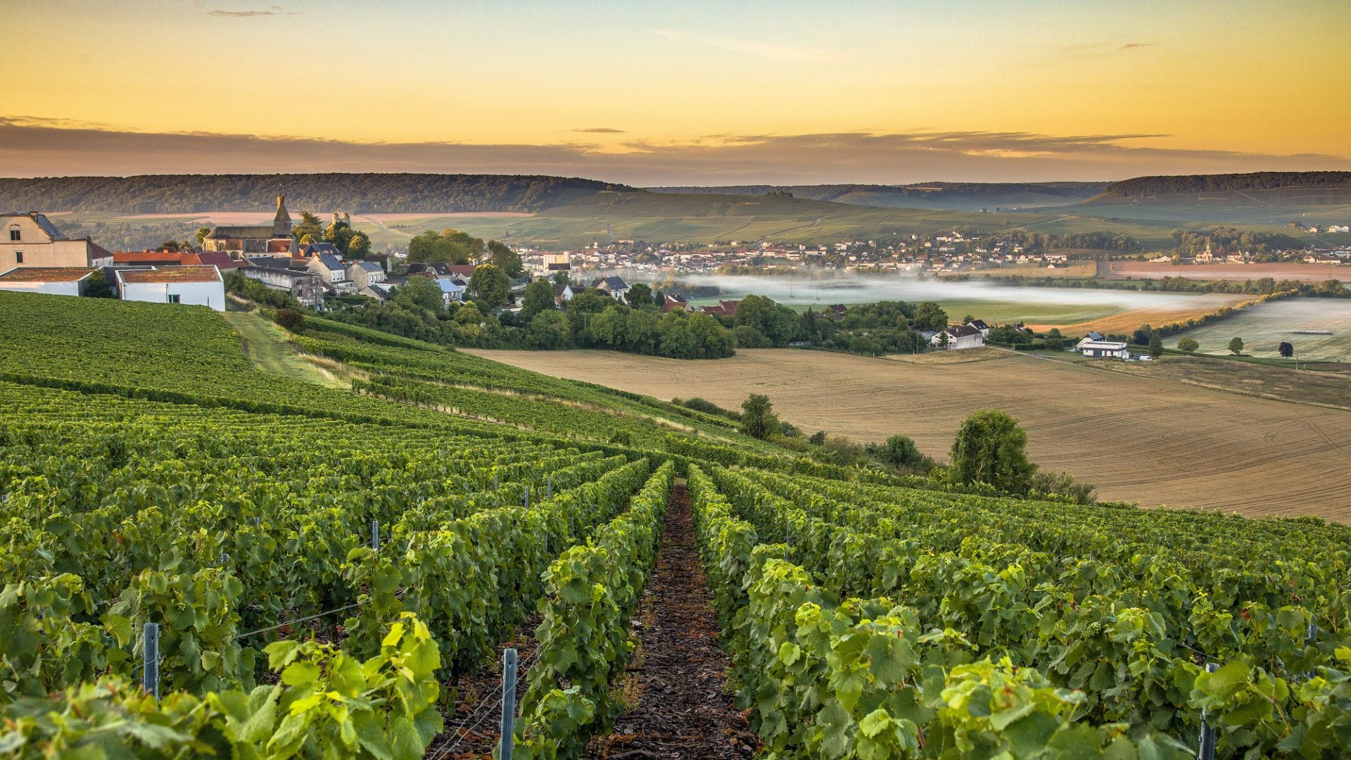Mercure Reims Parc des Expositions v.a. p.p. €71.00 (Incl. 1 x champagne)