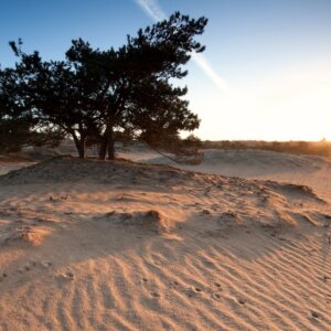 Hotel 't Peperhuys v.a. p.p. €84.50 (Kleinschalig hotel)