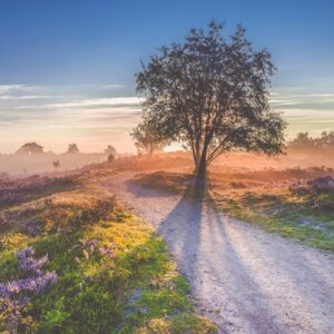 Hof van Putten v.a. p.p. €58.53 (Natuurrijke omgeving)