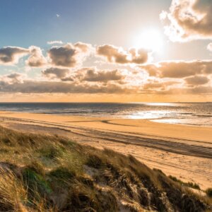 Donia Huys v.a. p.p. €137.33 (Incl. overtocht!)