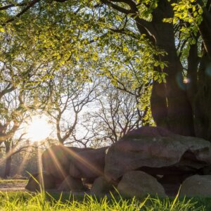 Brinkhotel Zuidlaren v.a. p.p. €54.00 (Bij Zuidlaardermeer)