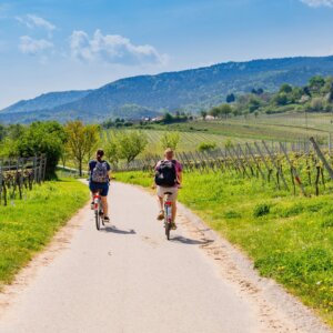 Hotel am Park Stadtkyll v.a. p.p. €149.00 (perfecte ligging!)