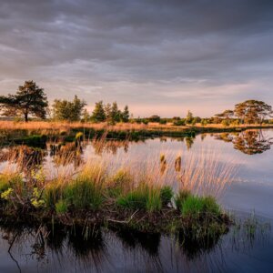 De Stobbe hotel & suites v.a. p.p. €81.55 ()