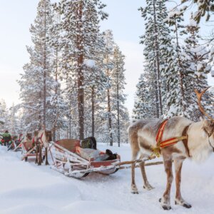 Winteravontuur Himos - Finland €895.00 (WINTER STUNT!)