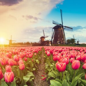 Amrâth Hotel Alkmaar €39.50 (Nabij de kust!)