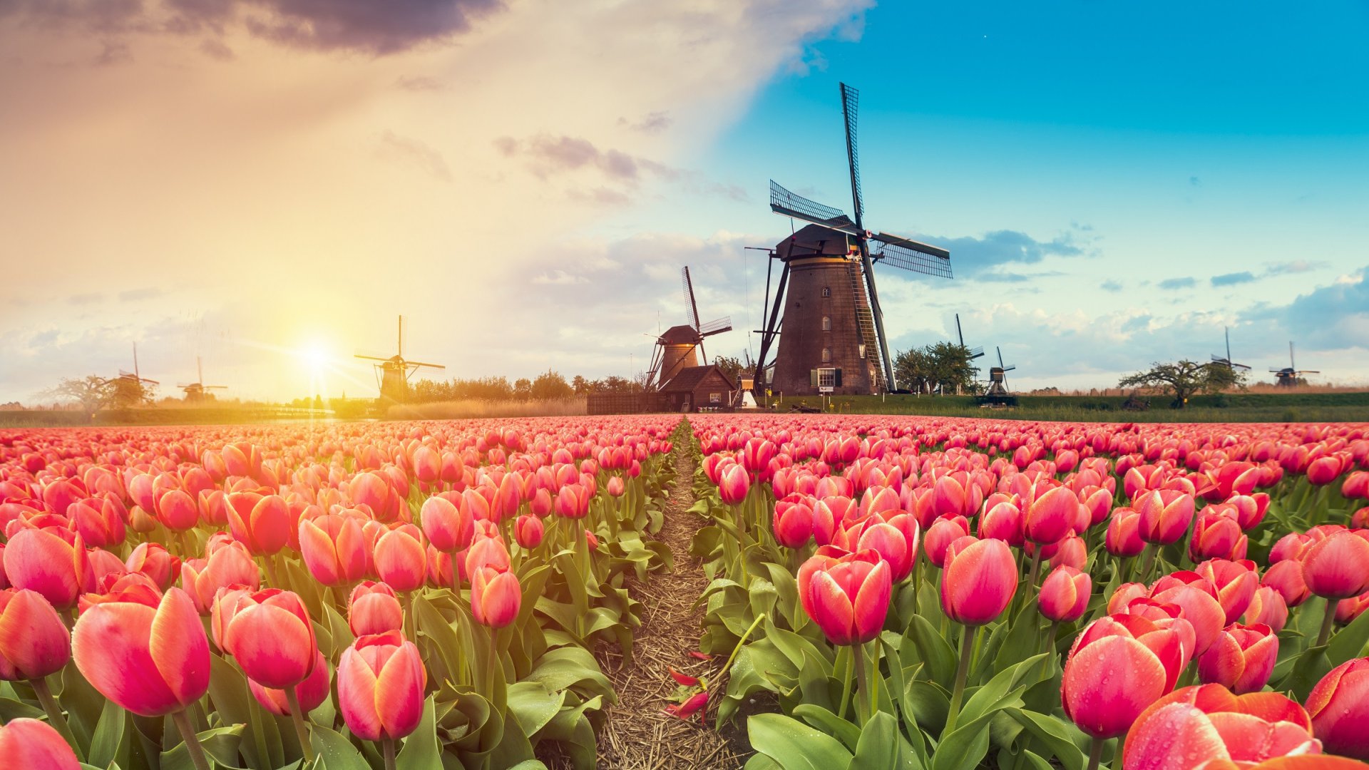 Amrâth Hotel Alkmaar €39.50 (Nabij de kust!)