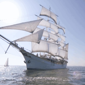 Varen op Stedemaeght €44.5,-