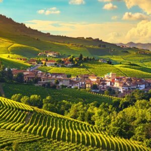 Wijntour door Piemonte, Toscane en Veneto €569.00 (Met wijnproeverijen!)