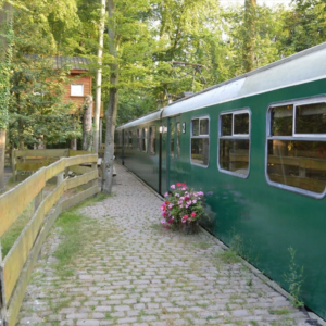 Authentieke NS trein Vanaf €218.58