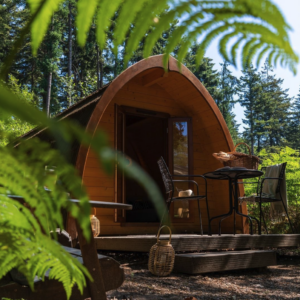 Luxe Pod midden in het bos Vanaf €124.29