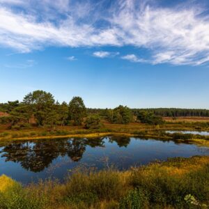 Corbie Mol v.a. p.p. €82.00 (Centrale ligging!)