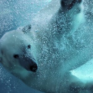 Fletcher Hotel-Restaurant by Zoo Emmen v.a. p.p. €67.50 (Unieke ervaring!)