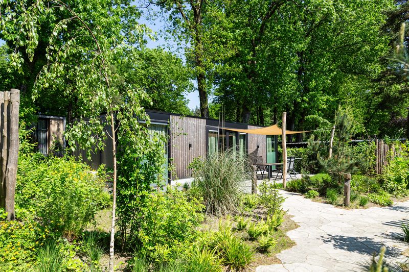 Veluwehoeve 4 personen vanaf 356.62 Populair bij rustzoekers - Afbeelding 2