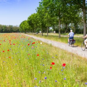 Grenzeloos v.a. p.p. €132.50 (Natuurrijke omgeving)