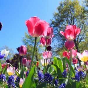 Crowne Plaza Düsseldorf-Neuss v.a. p.p. €117.00 (Met spa!)