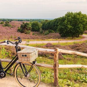 Veluwe Hotel Landgoed Stakenberg v.a. p.p. €141.00 (STUNT!)