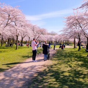 Grand Hotel Amstelveen v.a. p.p. €59.50 (nabij Amsterdam!)