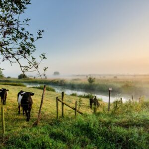 Boutique Hotel en Boerderij restaurant De Gloepe v.a. p.p. €117.50 (FLASHDEAL!)