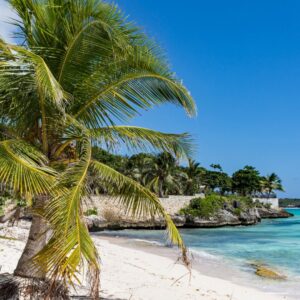 Holland America Line Rotterdam - afvaart Fort Lauderdale/Miami v.a. p.p. €1809.00 (Inclusief vlucht!)