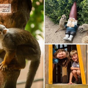Entreeticket Kabouterland €6.95