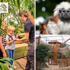 Entreeticket Berkenhof Tropical Zoo €10.50