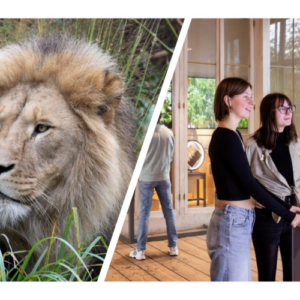 Combiticket ARTIS-Park&ARTIS-Groote Museum €36.5,-