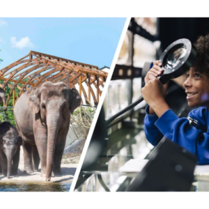 Combiticket ARTIS-Park&ARTIS-Micropia €36.5,-