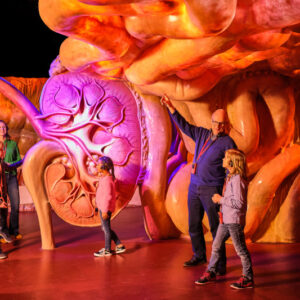 CORPUS Reis door de Mens €20.5,-