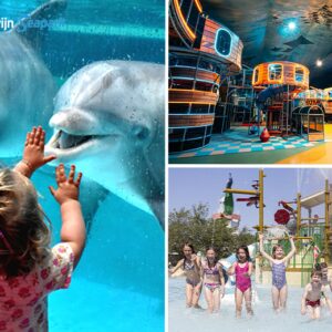 Entreeticket Boudewijn Seapark €21.50