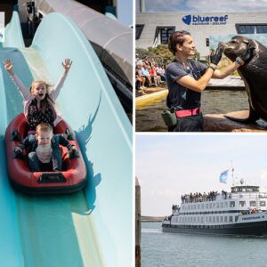 All-In zomerticket Deltapark Neeltje Jans €15.00