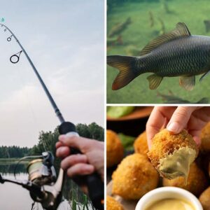 2 uur vissen + bittergarnituur bij Forelvijver de Boshoek 2.0 €15.00